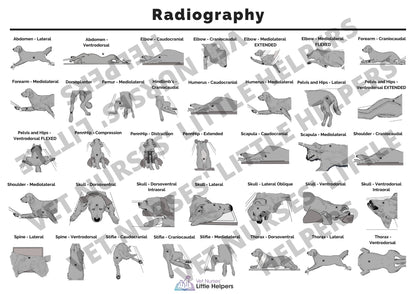 The Radiography Bundle - Vet Nurses Little Helpers