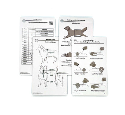 The Radiography Bundle – Vet Nurses Little Helpers
