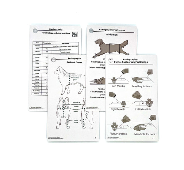 The Radiography Bundle - Vet Nurses Little Helpers