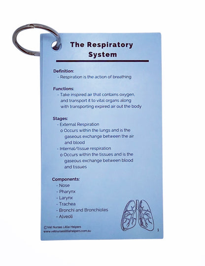 The Respiratory System - Vet Nurses Little Helpers