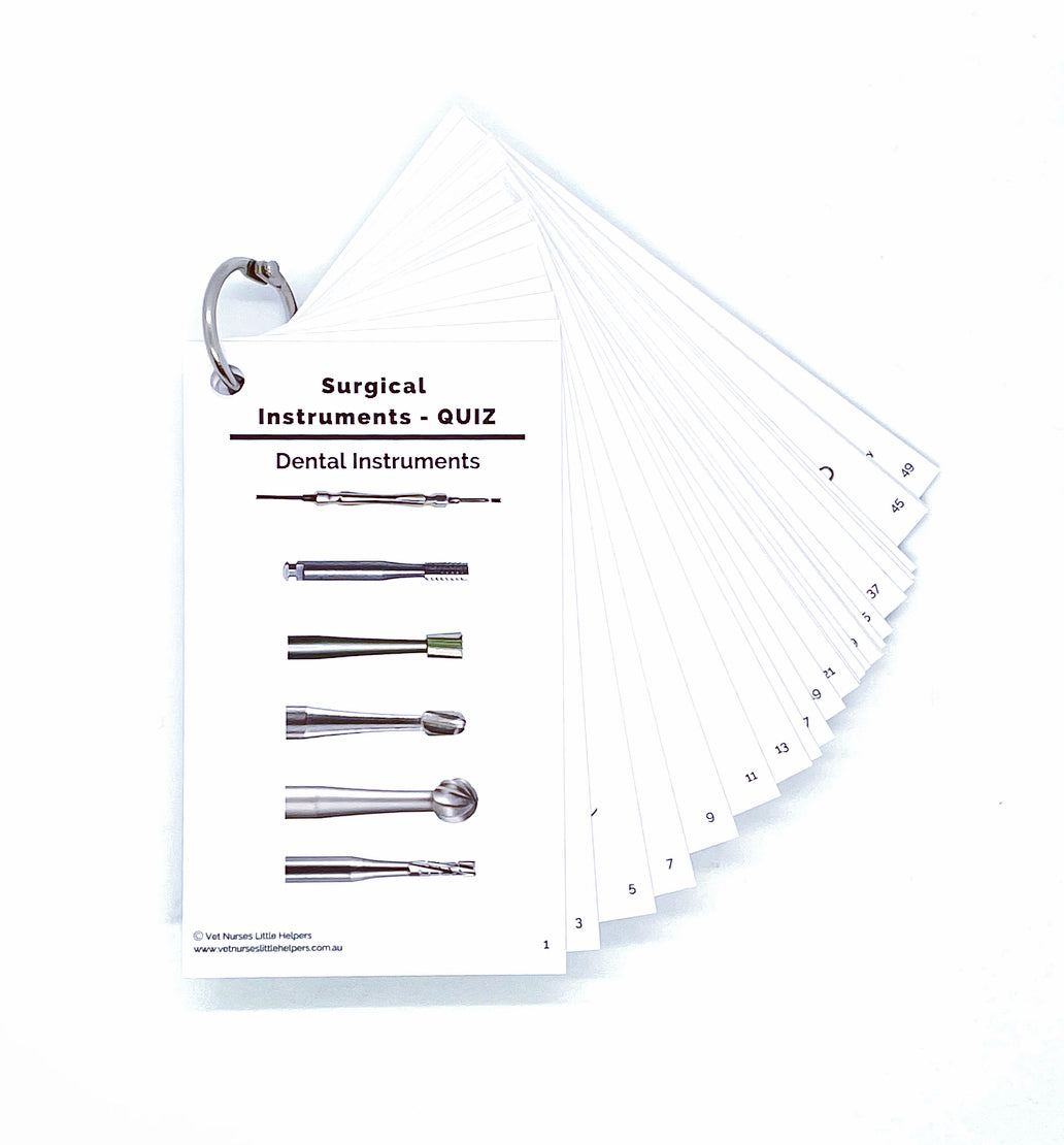 Surgical Instruments Quiz Set Vet Nurses Little Helpers