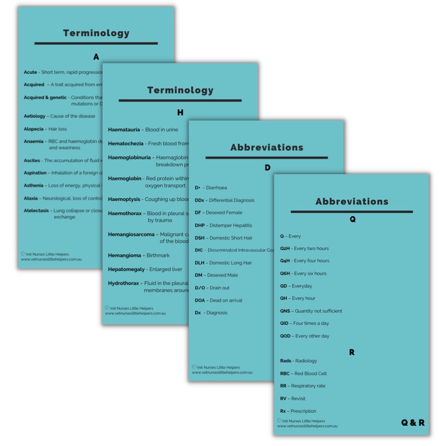 Terminology and Abbreviations Flash Card Set - Digital Version - Vet Nurses Little Helpers