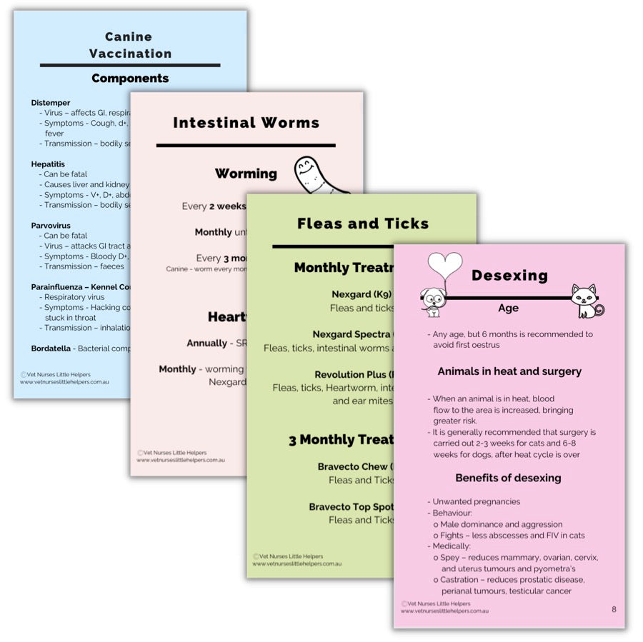 The Basics Flash Card Set - Digital Version - Vet Nurses Little Helpers